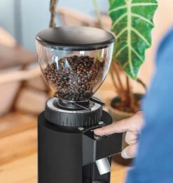 Ceado E6P Coffee Grinder With Filter Burrs -Coffee Discount Store 50105db ceadoe6pfilterburrsondemandcoffeegrinderamb01lr