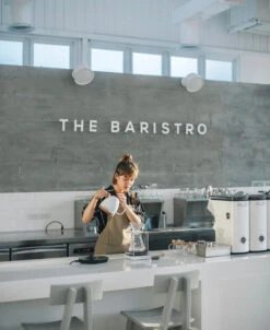 Brewista Artisan Electric Gooseneck Kettle - Pearl White -Coffee Discount Store IMG 2932newlogo