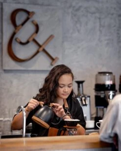 Brewista Artisan Electric Gooseneck Kettle - Matte Black -Coffee Discount Store IMG 3942 newlogo